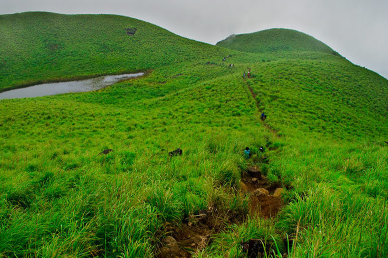 Explore | White Fort Resorts, Wayanad